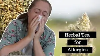 Herbal Tea for Allergies + Recipe