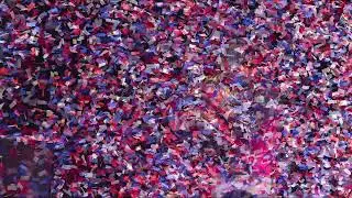 WHERE'S HAMNER?  Bassmaster Champion through the confetti