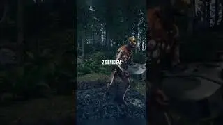 MITY W THE FOREST CZ.36 /@FIFEKK