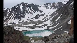 Цветы Горного Алтая. Долина Елангаш