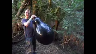 Qualatex 24 inch black balloon blow to pop btp b2p q24