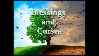 When will the Economy Reopen? God's Blessings and Curses