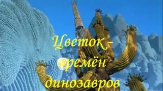 ЦВЕТОК ДРЕВНЕГО МИРА.