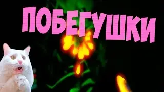 Subnautica▶НА ПОБЕГУШКАХ▶#2
