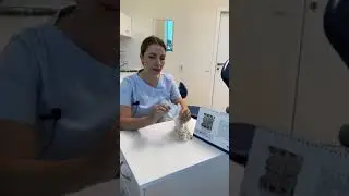 Вы знали что импланты используются при исправлении прикуса?