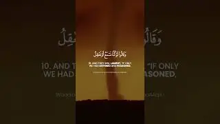 Surat Al-Mulk Challenge | Verse 10 | Memorize One Verse Each Day