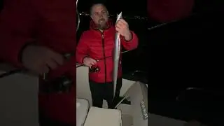AZILI KAYIŞ BALIĞINI YAKALADIM