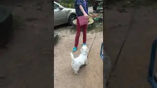 Baks и чипсы