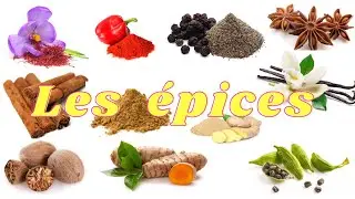 Apprendre les épices en français.