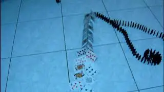 I 7 TRUCCHI PIU CARINI PER I DOMINO