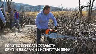 Все на субботник!