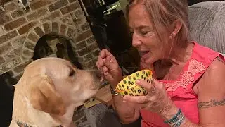 Nana Breaks the Rules and Learns a Tough Lesson