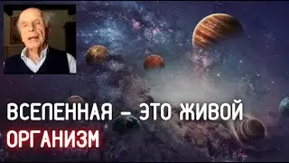 Вселенная - живой организм. Сенсационные откровения ученого / Фраза