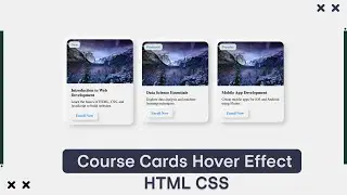 Course Cards Hover Effect HTML CSS | amanselfcoder