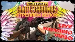 Стреляем белок - PUBG