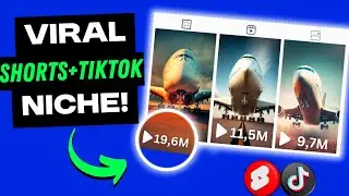 This New Best Niche can Make upto $800 per Day (Youtube + Tiktok Niche)
