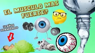 Cosas Curiosas que NO Sabias #3
