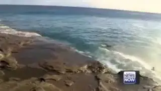 BEST SURF WIPEOUTS ( @LIFEOFKOOK ) | FUNNY SURF VIDEO | FUNNY COMPILATION