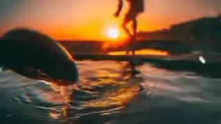 Video polosan quotes