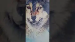 SHAMAN - Я русский (cover)