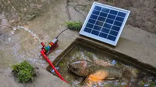 Top Mini Solar Water Pump Fish Farming Science Project#1 - Mini Farming
