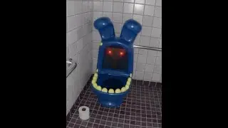 Memes in the nutshell