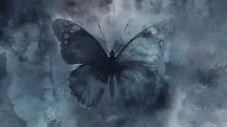 Andrea Vanzo - The Butterfly (Official Visualizer)