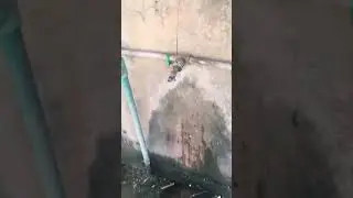 Water chiller #shortvideo #shorts