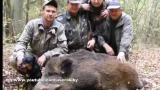 Курьезы на охоте