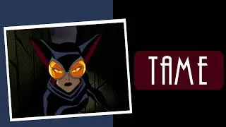 This Catwoman Played It Safe | The Batman (2004)