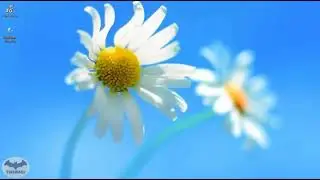 Extract Subtitles from VOB, AVI, TS, MP4, FLV, WMV, MPG etc new new