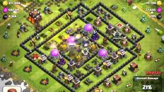 Hogs Raiders: 1 Million Raid