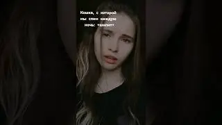Когда на меня шипит любимая кошка😑