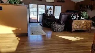 Un chien court à travers la maison