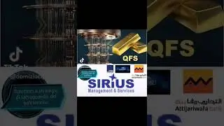 Domizio Cipriani management. contact: domizio.cipriani@protonmail.ch