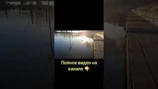 затопило набережную в Уфе 