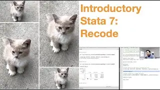 Introductory Stata 7: Recode a continuous variable  to a categorical variable