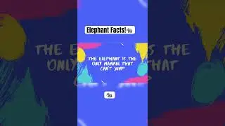 Facts about elephant