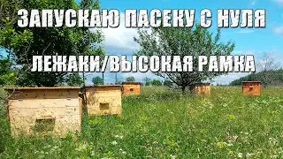 Как я строил свою пасеку в чистом поле. Установка забора, завоз ульев и заселение пчелосемей.