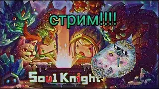 разнообразие стримов "Soul Knight"