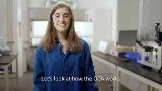 DuPont SVTC OCA
