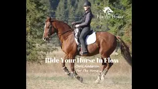 Harmonize in Motion: The Art of Using Energy and Intention in Horse Riding