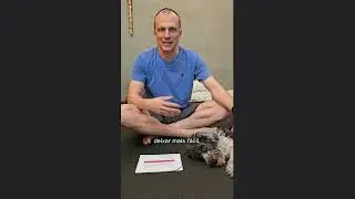 Treinamento de pet pra quem não tem tempo 