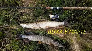 КАК ЛОВИТЬ ЩУКУ в МАРТЕ? ПРИМАНКИ и МЕСТА для ЛОВЛИ ЩУКИ ВЕСНОЙ. СНАСТИ и ВРЕМЯ для ЛОВЛИ ЩУКИ