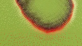 What is Quantum Biology?