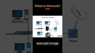 What is Network? 