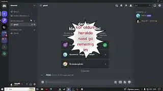 Discord Mee6 Botu İle Sunucu Panel