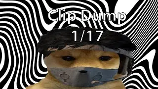 Clip Dump 1/17