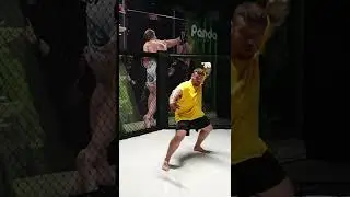 #shotrs #mma #мма