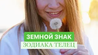 Земной ТЕЛЕЦ